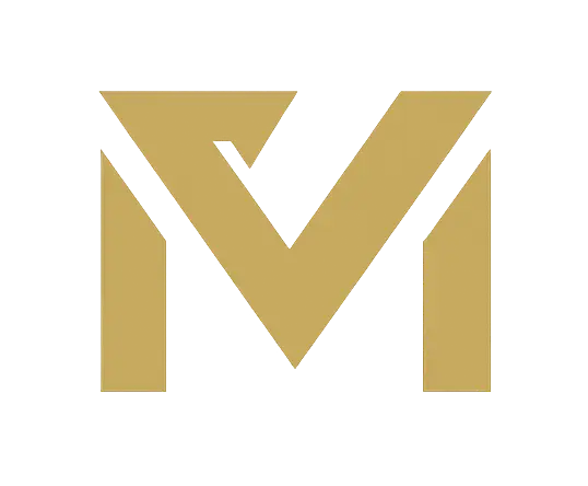 MechaVoltti Solutions logo